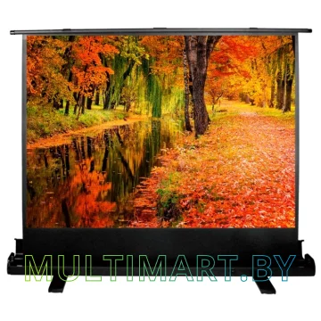 Проекционный экран CACTUS FloorExpert 150x200 (CS-PSFLE-200X150)